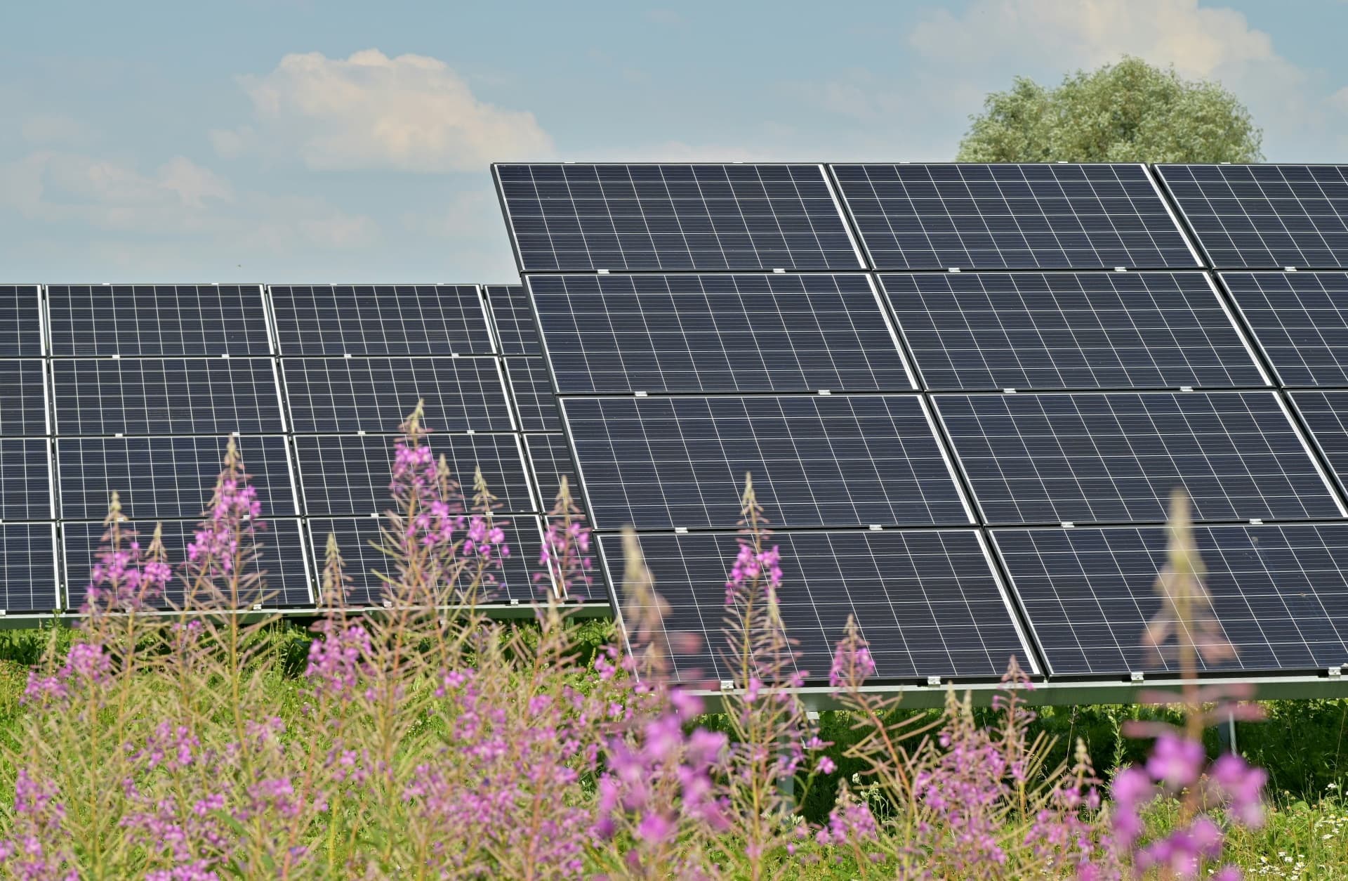 Commerce chamber advocates power purchasing agreement, bypassing state utility EVN