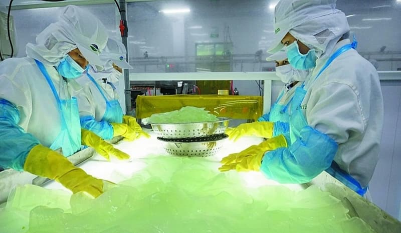 “Hopeful stars" for businesses on the new journey