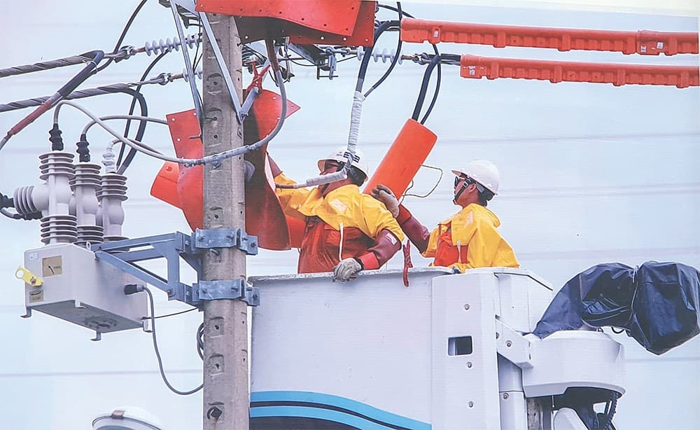 Wide participation can boost nation’s energy transition