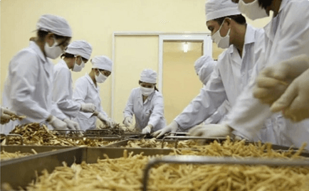 PM instructs review of regulations hampering medicinal herb exports