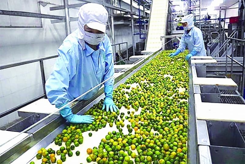 Proposal to continue reducing VAT by 2% to support people and businesses