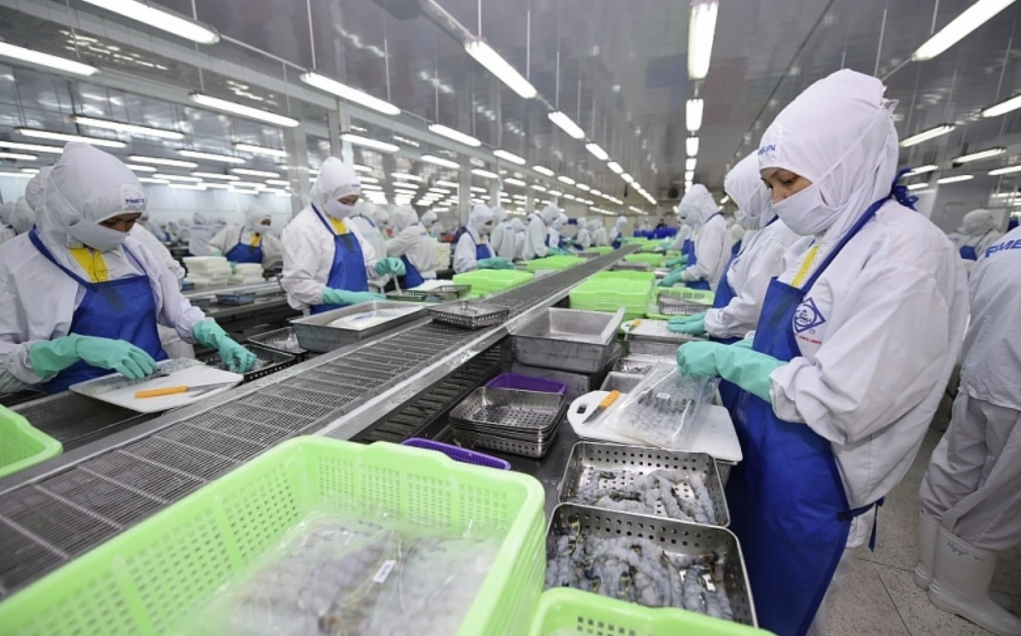Fishery enterprises prioritize exporting value-added processed products