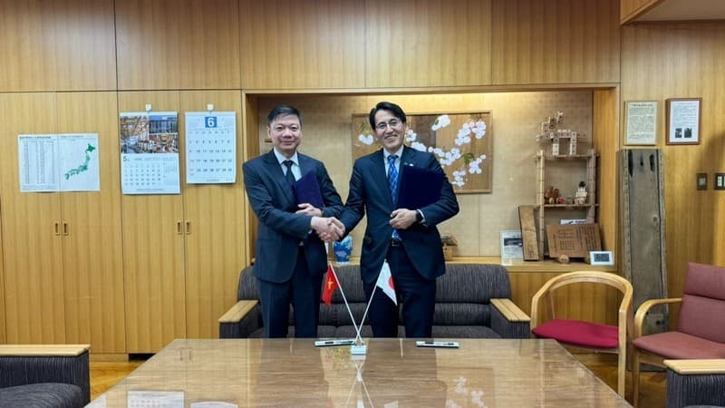 Vietnam and Japan step up cooperation in forestry