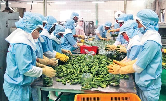 Agricultural exporters face hardship amid escalating costs