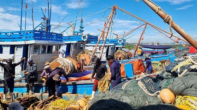 Vietnam charts vision for sustainable, modern fisheries