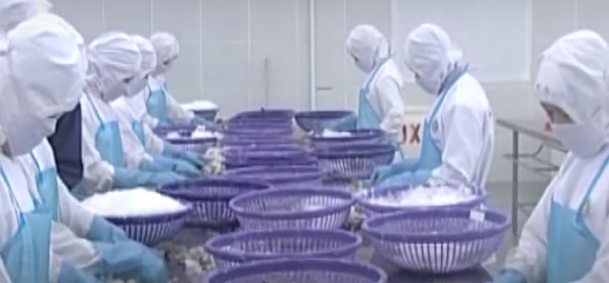 Aquatic product exports enjoy 6% growth in four months
