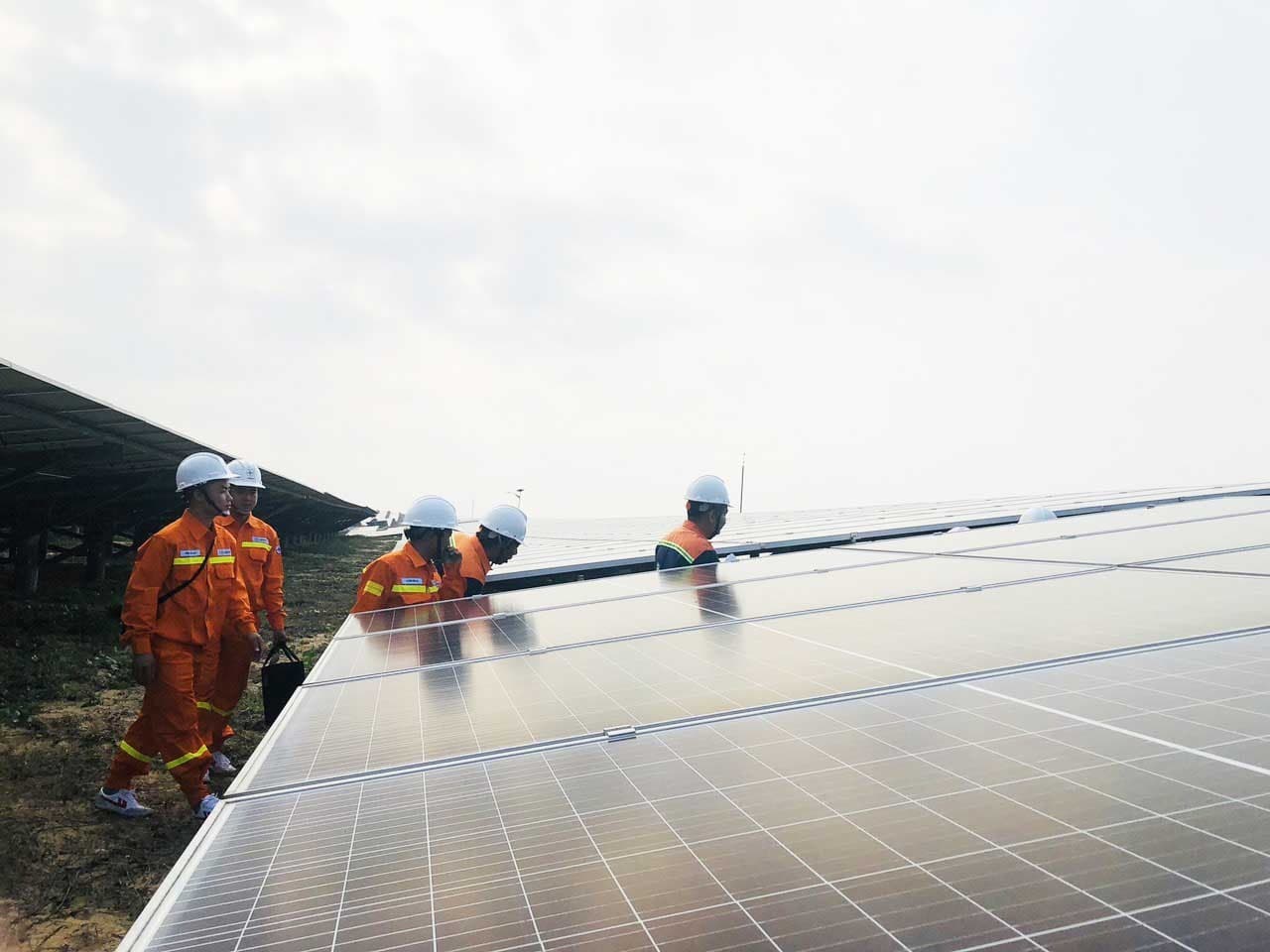 Vietnam pursues green economy
