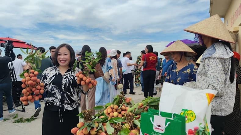 Hai Duong promotes consumption of Thanh Ha lychee associated with tours