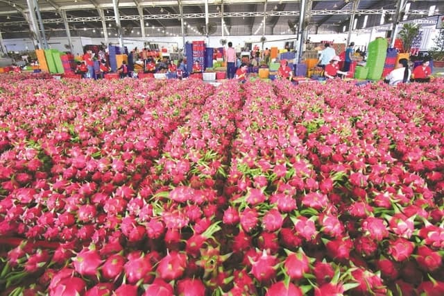 Indications of Favorable Export Trends