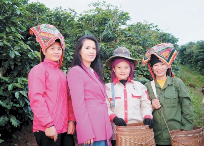 Stir you up with Detech Coffee: A Journey to Bring Son La Coffee to the World