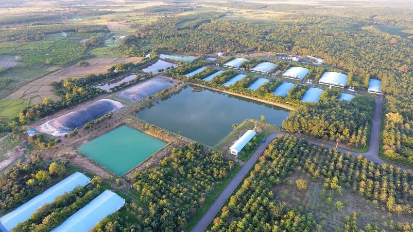 C.P. Vietnam aiming for 'net-zero' goal