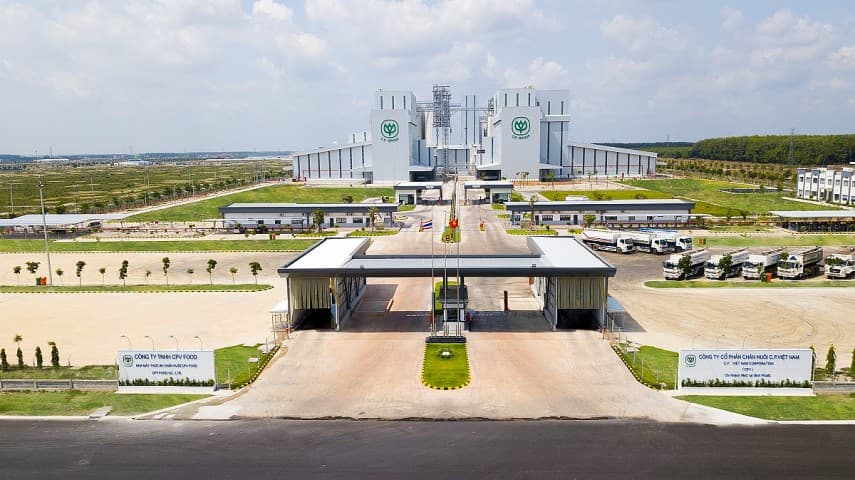 Binh Phuoc creates production premises for cashew processing