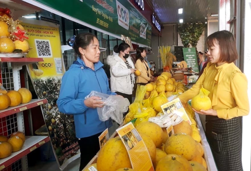 Hanoi strengthens export performance through comprehensive recovery strategy