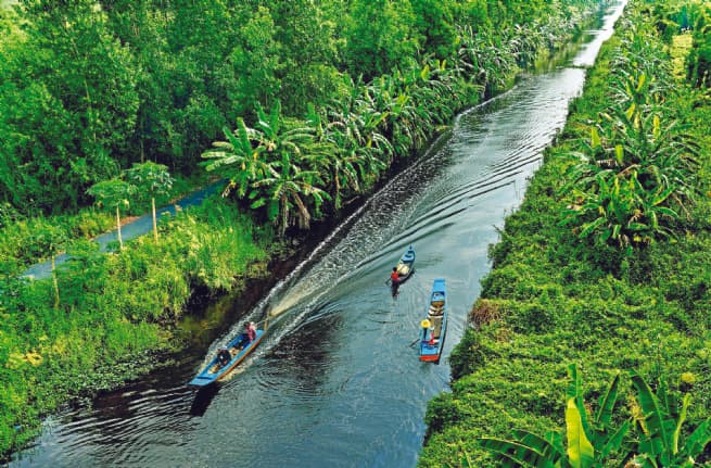 Vietnam Expects US$500 Mln Forest Carbon Credit Sales