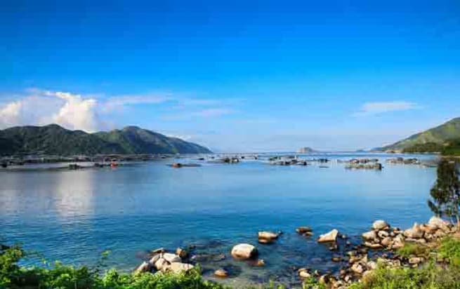Vung Ro Port Poised to Become Seaport Service Hub