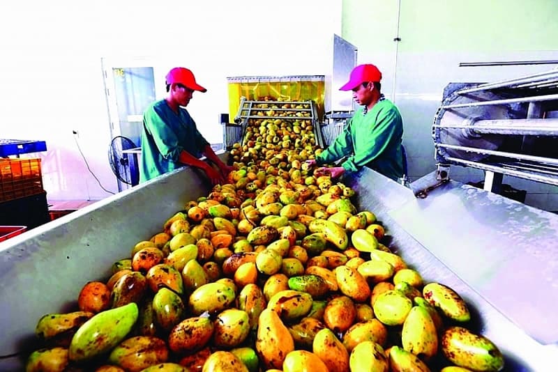 The two "main drivers" in agricultural export still have weaknesses