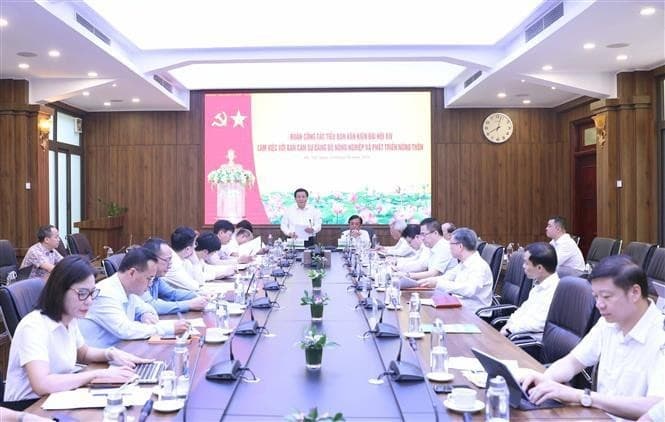 Party official urges greater efforts to develop agricultural sector