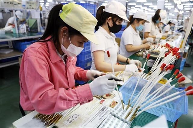Việt Nam remains Southeast Asia’s bright star: ASEAN specialist