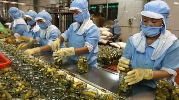Exports up 13.8% in first half: ministry