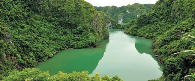 Efforts to Protect and Enhance the “Green Pearl of Cat Ba”
