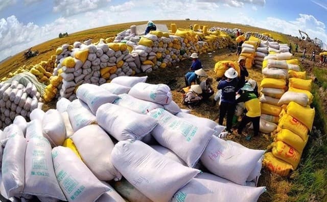 Philippines reduces rice import tax to 15%