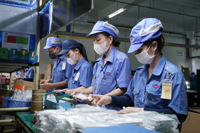 Positive export growth: A bright spot for export businesses