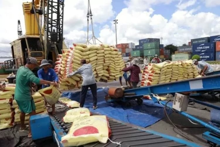 Vietnam's economy recovers rapidly in H1 thanks to drastic actions: IMF expert