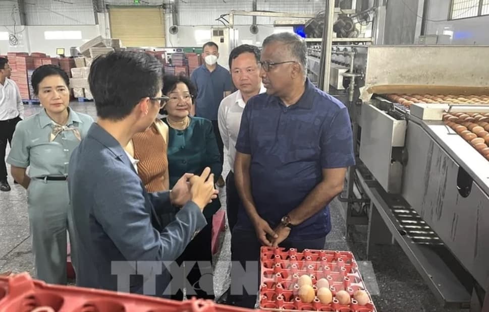 Vietnamese fresh agricultural products have opportunities to enter Singaporean market