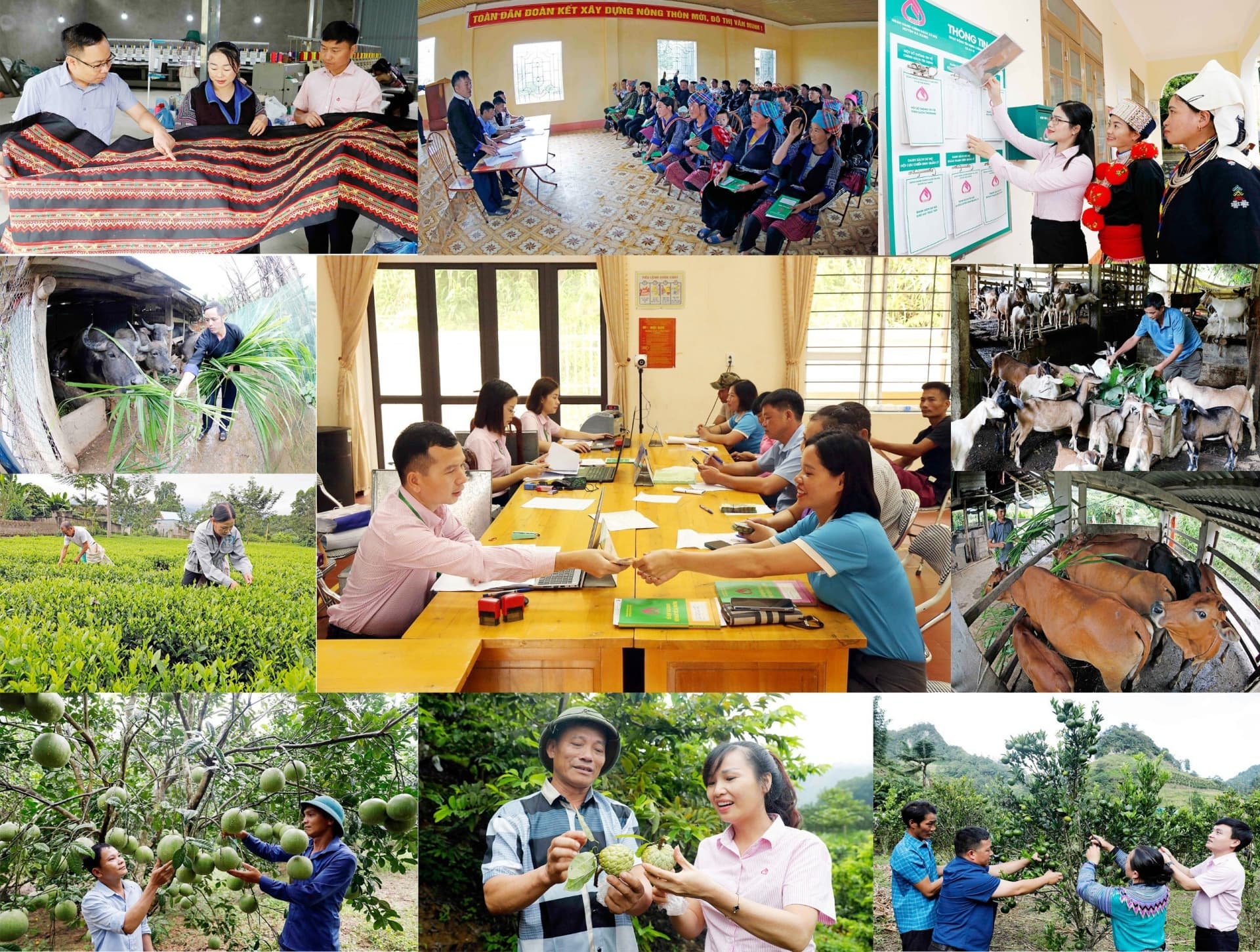 Quang Ngai harvests upbeat results via policy credit sources