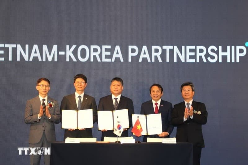 Vietnam, RoK discuss cooperation in future industries