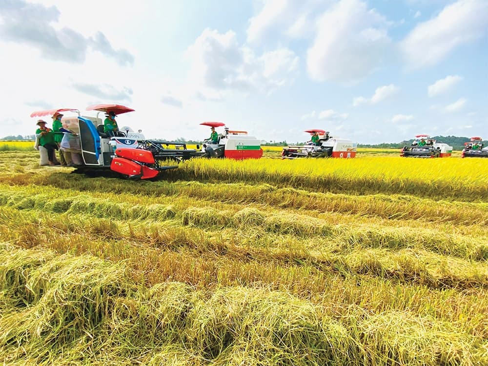 Circular agro-economy taking flight