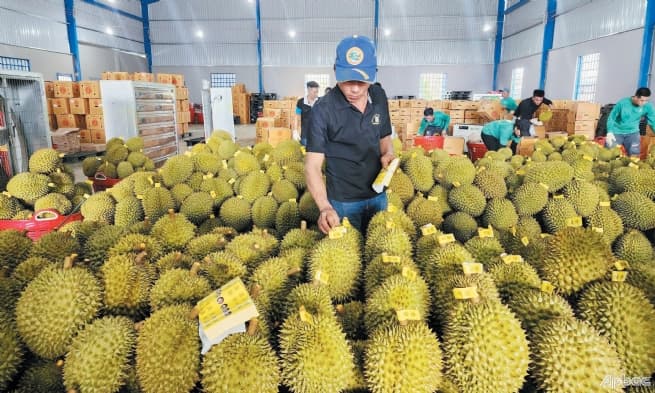Vietnamese Fruit & Vegetable Exports Poised to Hit Record $7Bln