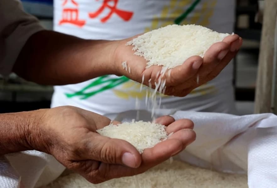Vietnam's rice exports expected to have positive result in H2