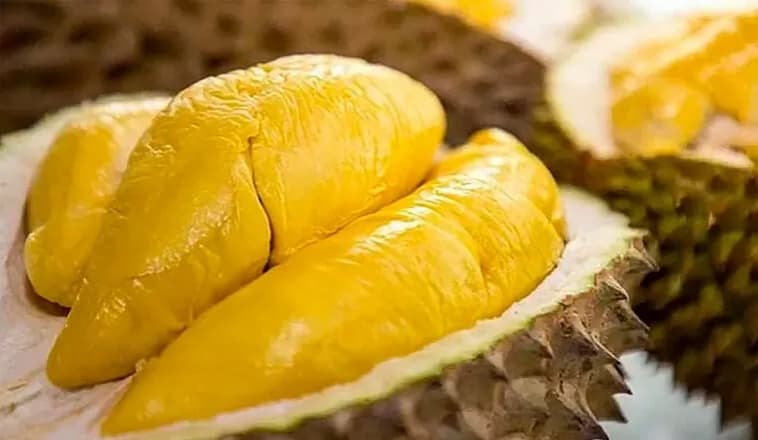 Insiders optimistic about durian export to China