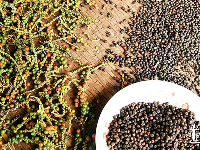 U.S. remains Viet Nam’s largest peppercorn importer