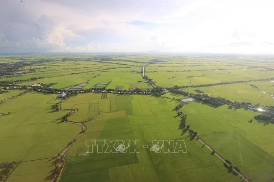 Mekong Delta regional masterplan contributes to ensuring food security