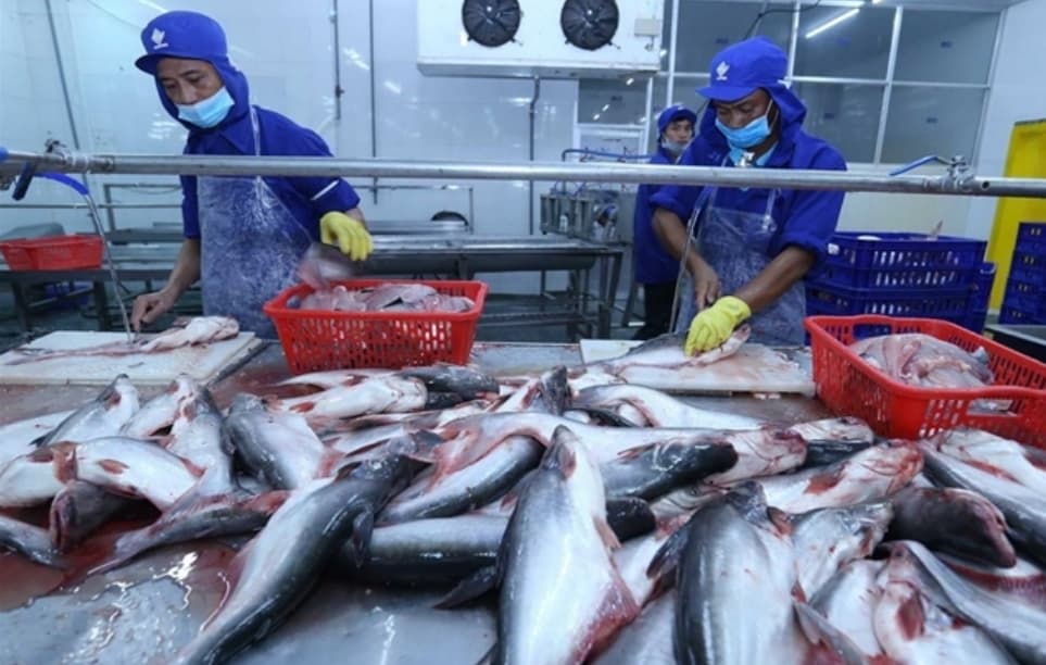 Tra fish export may hit US$1.8 billion in 2024