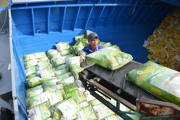 Vietnam maintains top position among Singapore's rice suppliers