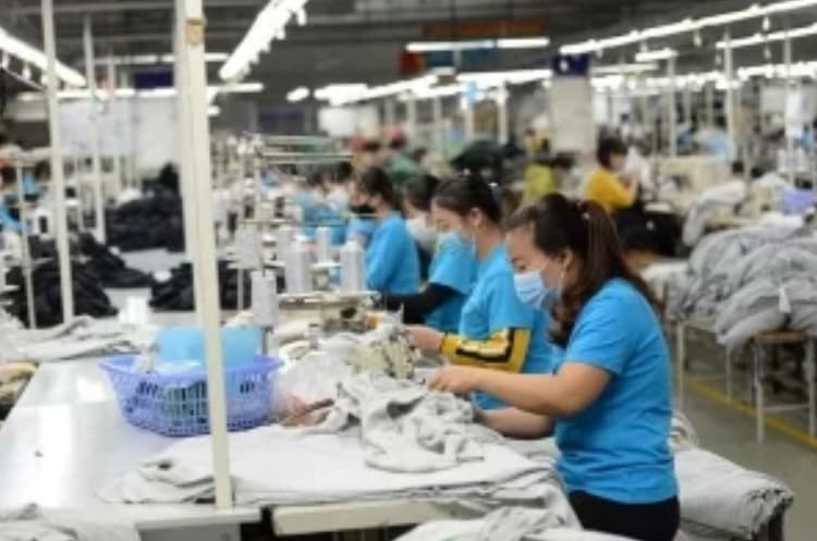 Apparel firms enjoy better business on rising orders