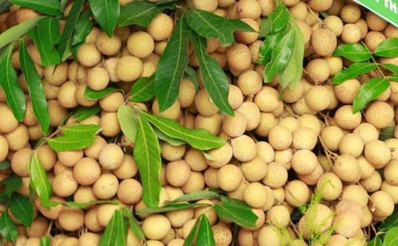 FTAs: 'Support platform' elevating Vietnamese agricultural exports