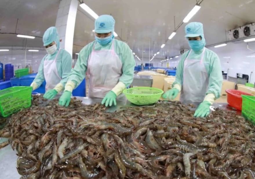 Vietnam's shrimp export rises in H1 but still faces competition