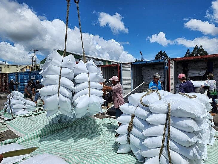 Vietnam, Timor-Leste consolidate, develop trade ties