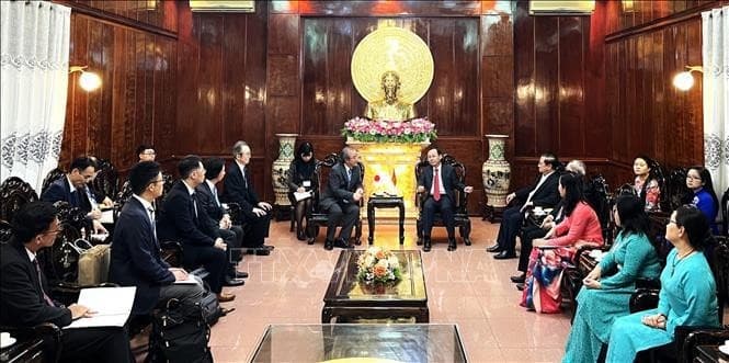 Can Tho calls for more Japanese investments