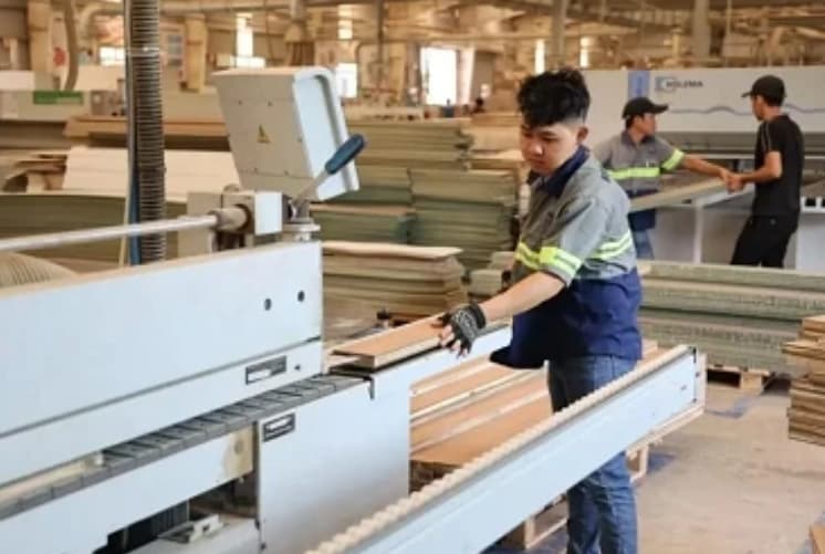 Positive signs for Vietnam's wood exports amidst challenges