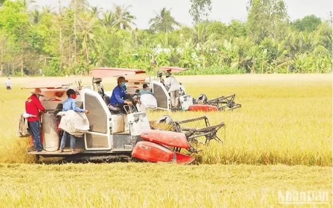 Mechanisms needed for rice industry to go circular: insiders