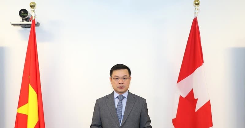 Vietnam, Canada seek cooperation opportunities in energy, production, finance