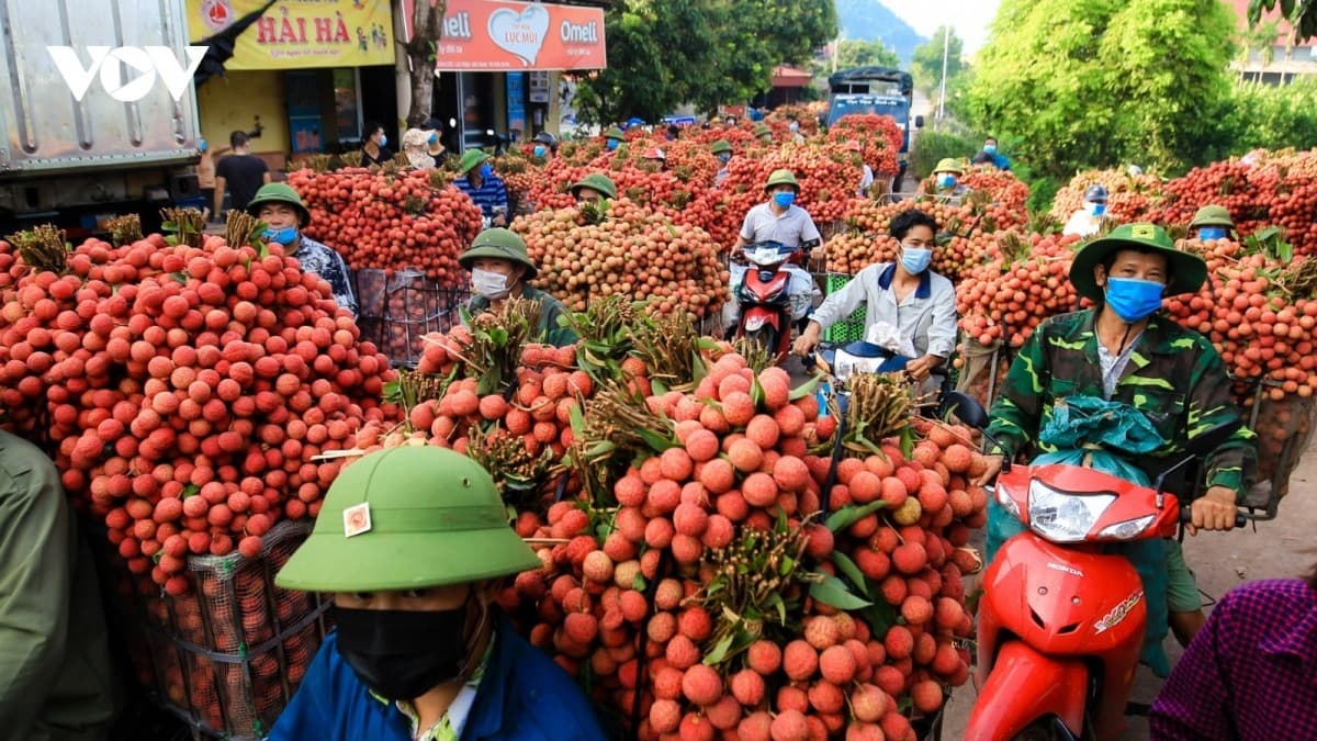 Vietnam – China trade on the road to US$200 billion ambitious goal this year