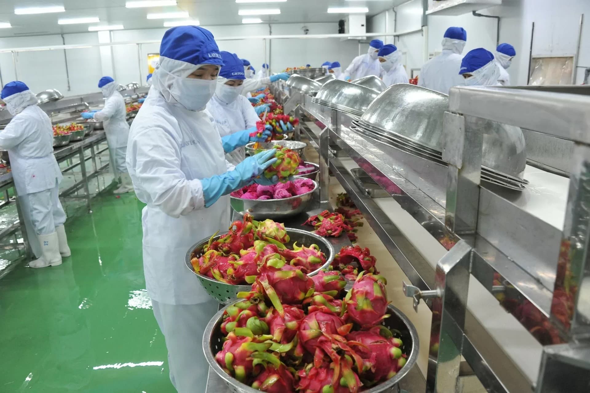 Trade pact expands niche of Vietnamese goods in UK