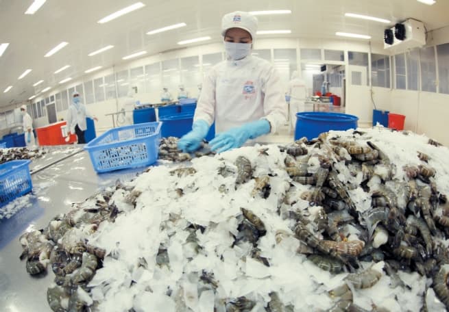 Vietnam Persists in Pursuit of Market Economy Recognition