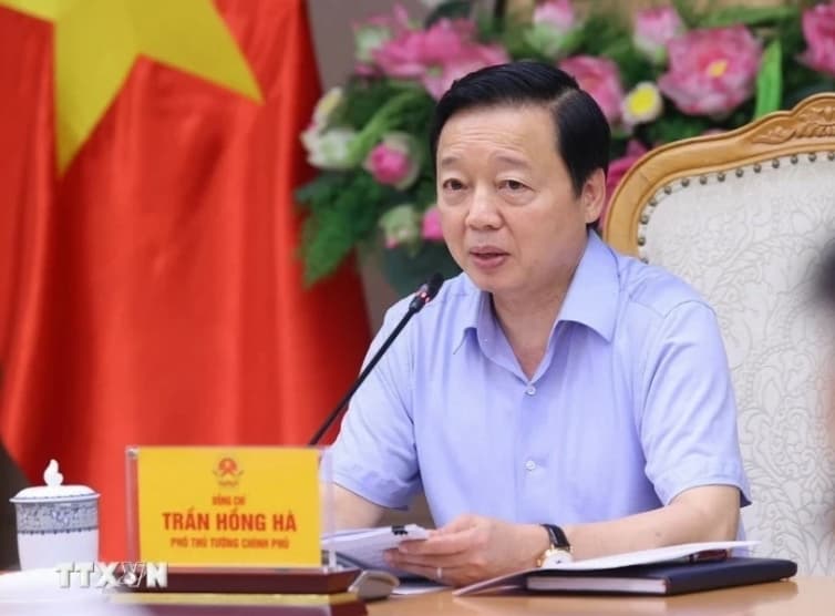 Deputy PM Tran Hong Ha attends meeting on carbon market development